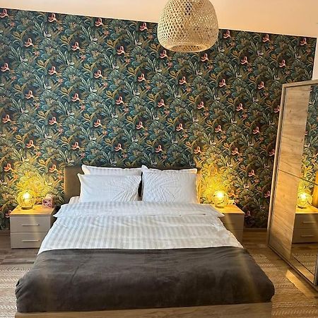 Newlevel Studio Braşov Dış mekan fotoğraf
