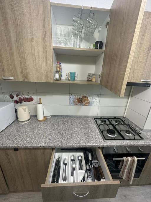 Newlevel Studio Braşov Dış mekan fotoğraf