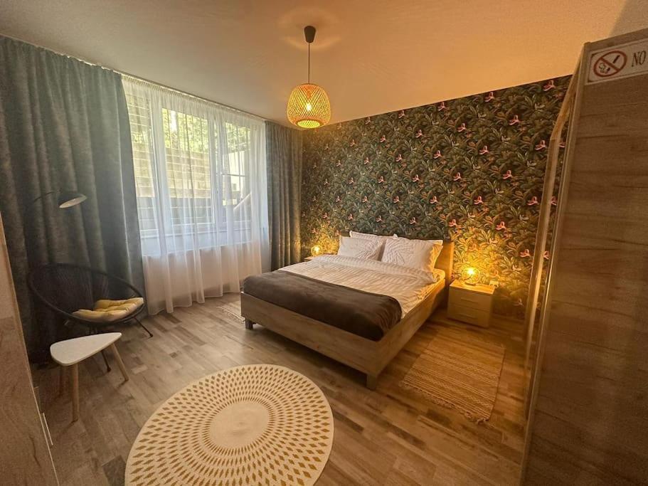 Newlevel Studio Braşov Dış mekan fotoğraf