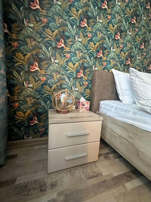 Newlevel Studio Braşov Dış mekan fotoğraf