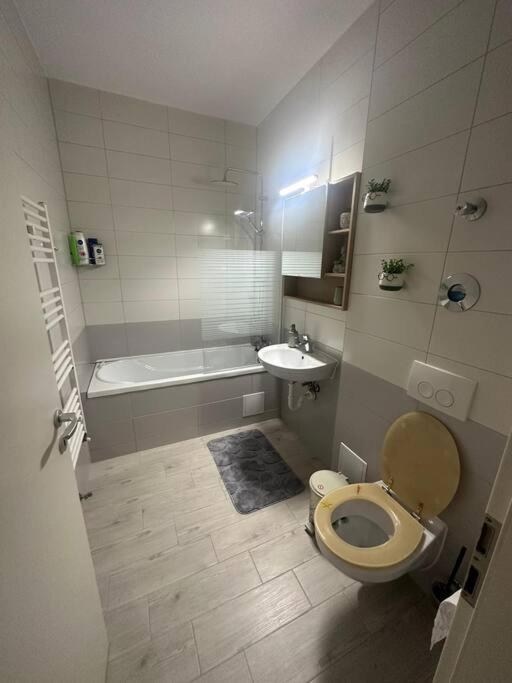 Newlevel Studio Braşov Dış mekan fotoğraf